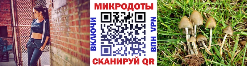 купить наркотик Северская blacksprut ТОР Псилоцибиновые грибы ЛСД